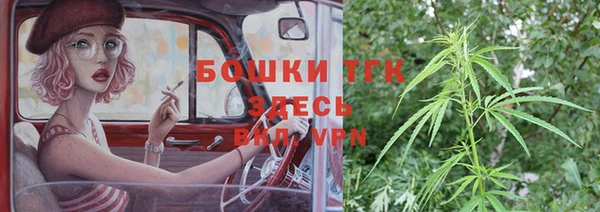 прущие грибы Балахна